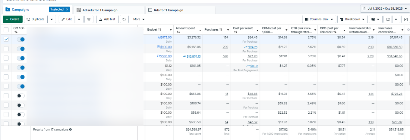 Meta Ads Manager campaign-level performance data