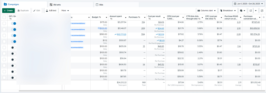 Meta Ads Manager campaign-level performance data